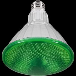 LED Reflektor PAR38 grün