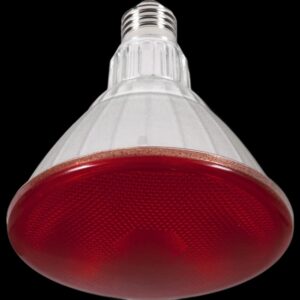 LED Reflektor PAR38 rot