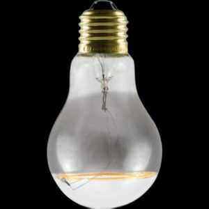 LED Glühlampe A19 smokey bottom