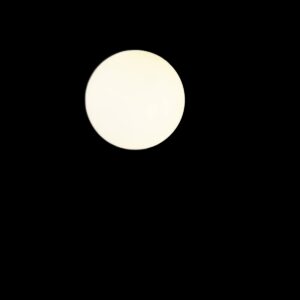 SUN, Wandaufbauleuchte, eckig, 1x max. 40 W, LED-Leuchtmittel, G9, PHASE, schwarz