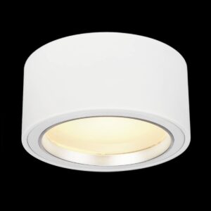 FERA 25, Deckenleuchte, LED, 3000 K, rund, weiß, 1800 lm, max. 21 W, inkl. LED-Treiber