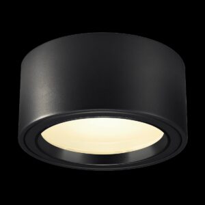 FERA 25, LED Indoor Deckenaufbauleuchte, schwarz, 3000 K, 100°