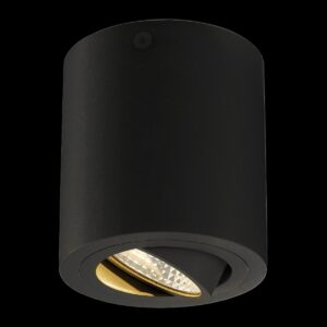 TRILEDO, Deckenleuchte, LED, 3000 K, rund, schwarz matt, 38°, 6,2 W, inkl. Treiber