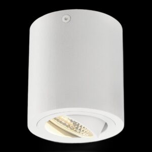 TRILEDO, Deckenleuchte, LED, 3000 K, rund, weiß, 38°, 8,2 W, inkl. Treiber