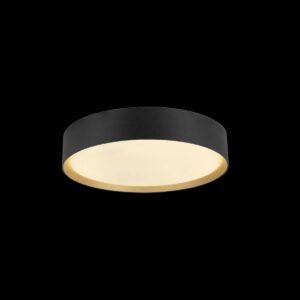 DECONA 30, Deckenaufbauleuchte, rund, 2700/3000 K, 18 W, PHASE, schwarz / gold
