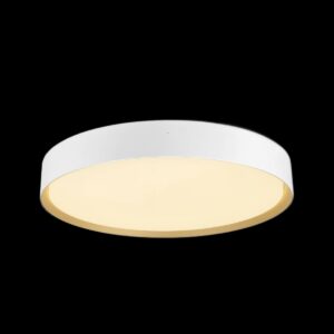 DECONA 42, Deckenaufbauleuchte, rund, 2700/3000 K, 23 W, PHASE, weiß / gold