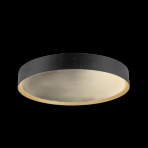 DECONA 42, Deckenaufbauleuchte, rund, 2700/3000 K, 23 W, PHASE, schwarz / gold