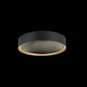 DECONA 30, CL, PHASE, Deckenaufbauleuchte, rund, 3000/4000K, 17 W, schwarz / gold