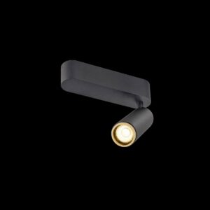 GRIP! M, Deckenaufbauleuchte, single, PHASE, 3000 K, 14 W, 42°, schwarz / gold