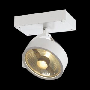 KALU, Wand- und Deckenleuchte, einflammig, QPAR111, rund, weiß matt, max. 75 W