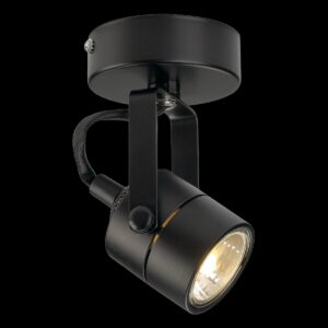 SPOT 79, Wand- und Deckenleuchte, QPAR51, rund, schwarz, 230V, max. 50 W