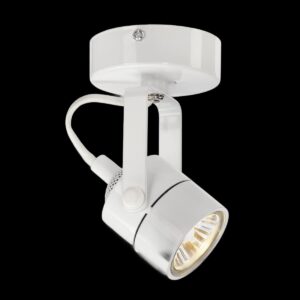 SPOT 79, Wand- und Deckenleuchte, QPAR51, rund, weiß, 230V, max. 50 W