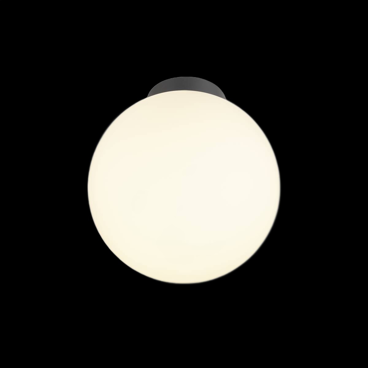 SUN 30, Deckenaufbauleuchte, rund, 1x max. 60 W, E27, schwarz