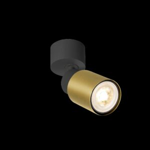 PURI 2.0 Tube, Wand- und Deckenaufbauleuchte, 1x max. 6 W GU10, schwarz / gold
