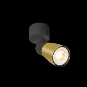 PURI 2.0 Dome, Wand- und Deckenaufbauleuchte, 1x max. 6 W GU10, schwarz / gold