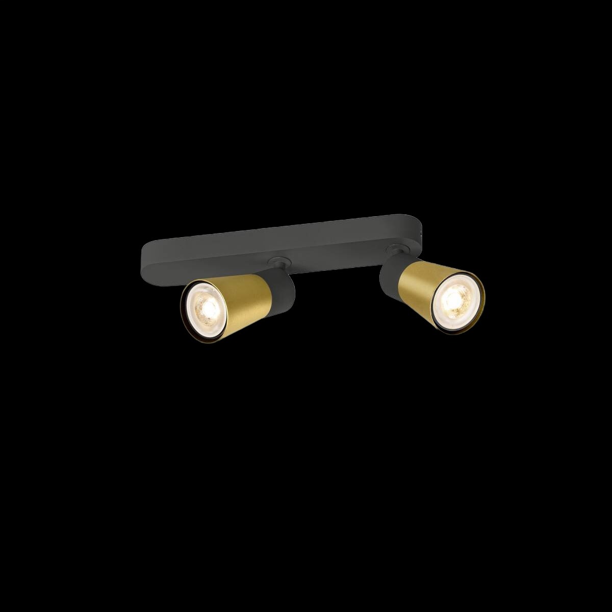 PURI 2.0 Cone, Wand- und Deckenaufbauleuchte, asymmetrisch, 2 x max. 6 W GU10, schwarz / gold