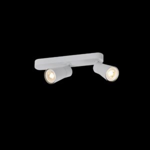 PURI 2.0 Cone, Wand- und Deckenaufbauleuchte, asymmetrisch, 2 x max. 6 W GU10, grau