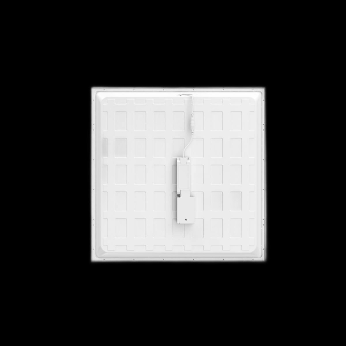 PANEL P, 595 45 830 WB UGR19 DALI – Bild 2