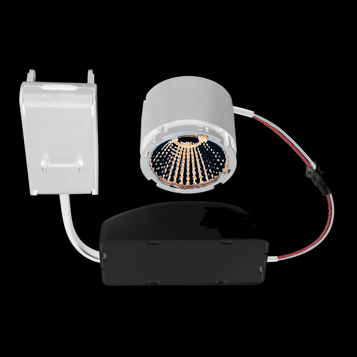 NEW TRIA®, LED-Modul, rund, 1800-3000 K, 60°, PHASE, schwarz – Bild 3