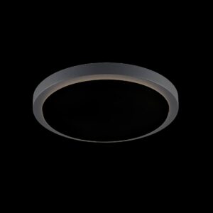 AINOS, Deckenleuchte, LED, 3000 K, rund, anthrazit