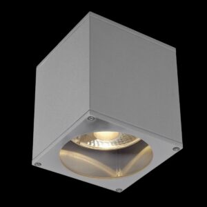 BIG THEO, Outdoor Deckenleuchte, QPAR111, IP44, eckig, silbergrau, max. 75 W