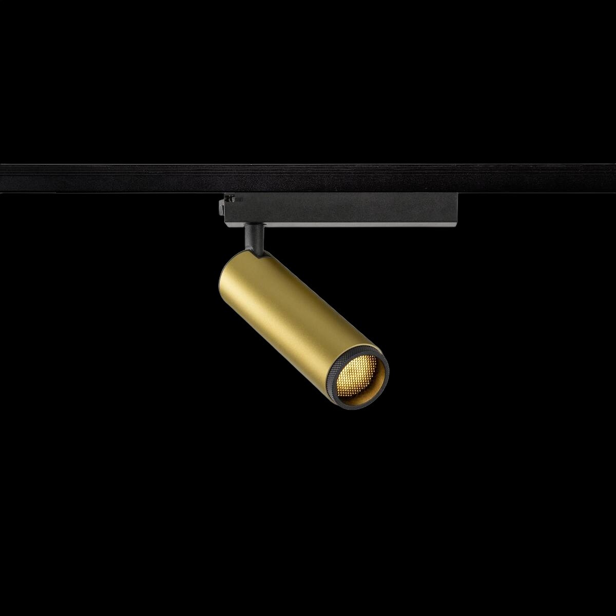 GRIP! M, 1~ Spot, zylindrisch, 2000-3000 K, 15 W, Dim-to-Warm, PHASE, 42°, gold / schwarz