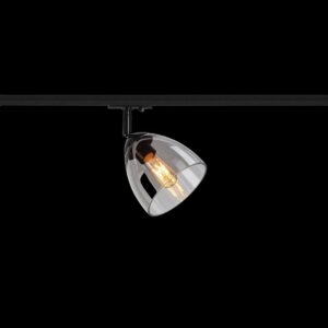 PARA CONE GL, 1 Phasen Spot schwarz / transparent
